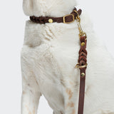 Dog Leash Riverside Park Saddle Brown Gold