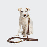 Dog Leash Riverside Park Saddle Brown Gold