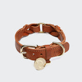 CLOUD7_ Braunes Hundehalsband aus Leder mit goldener Schnalle, verstellbarem Riemen und einer runden, goldenen Plakette mit eingraviertem Motiv, dargestellt vor einem schlichten, hellen Hintergrund.
