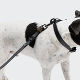 Adjustable Dog Leash BioThane Ipanema Black-Olive