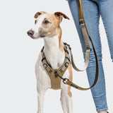 Y Safety Harness AKTIV Khaki/Grey