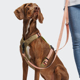 Y-2 Harness AKTIV Cordura Peach
