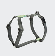 Y-Hundegeschirr „Madeira Mint“, grau mit grün, verstellbar und sicher.