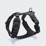 CLOUD7_ Das Y-3 Geschirr AKTIV Softshell Black ist ein schwarzes Neopren-Hundegeschirr mit ergonomischer Passform, verstellbaren Riemen, seitlichen Schnallen und zwei Befestigungsringen, abgebildet auf einem schlichten hellgrauen Hintergrund.