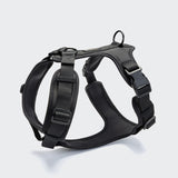 CLOUD7_ Das Y-3 Geschirr AKTIV Softshell Black ist ein schwarzes Neopren-Hundegeschirr mit ergonomischer Passform, verstellbaren Riemen, seitlichen Schnallen und zwei Befestigungsringen, abgebildet auf einem schlichten hellgrauen Hintergrund.