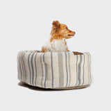 CLOUD7_ Ein kleiner braun-weißer Hund sitzt in einem kuscheligen, quadratischen Hundekissen Lazy Linen Stripes Natural/Blue mit beigen und blauen Streifen, die vor einem schlichten weißen Hintergrund gut aussehen. Das waschbare Bett sorgt für eine einfache Reinigung.