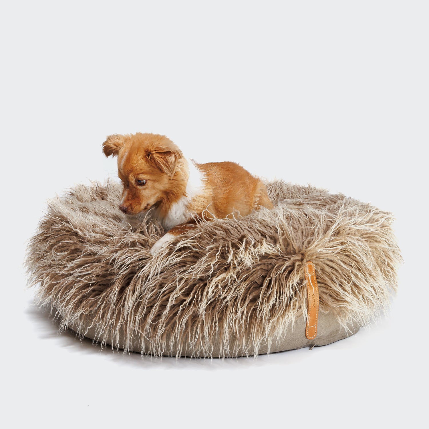 CLOUD7_ Ein kleiner braun-weißer Hund sitzt auf dem Hundepouf Yeti, einem beigefarbenen, runden Designerbett für Haustiere mit zotteligem Fell und einem Ledergriff vor einem schlichten, hellen Hintergrund.