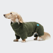 CLOUD7_ Ein kleiner, heller Hund steht mit dem Hundepullover Dackel Cornwall Teddy Olive, einem dicken grünen Pullover, der seinen Körper und seine Beine bedeckt, vor einem schlichten hellgrauen Hintergrund.