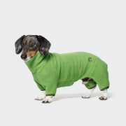 CLOUD7_ Ein Dackel trägt den Hundepullover Dackel Fleece Cornwall Lime Green und steht auf einem einfarbigen hellgrauen Hintergrund und schaut leicht nach links.