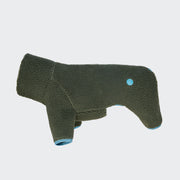 Cornwall Teddy Olive – Hundepullover aus Fleece mit hellblauer Bordüre, einfarbiger Hintergrund.