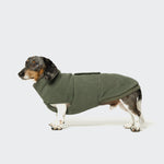 CLOUD7_ Ein Dackel, der den Hundepullover Dackel Fleece Derby Khaki trägt, steht vor einem unifarbenen, hellen Hintergrund und schaut nach links.