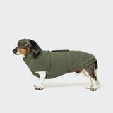 CLOUD7_ Ein Dackel, der den Hundepullover Dackel Fleece Derby Khaki trägt, steht vor einem unifarbenen, hellen Hintergrund und schaut nach links.