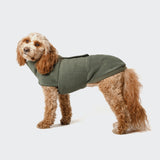 CLOUD7_ Ein lockig behaarter, hellbrauner Hund trägt einen Hundepullover Fleece Derby Khaki, steht seitlich vor einem schlichten weißen Hintergrund und schaut in Richtung Kamera.