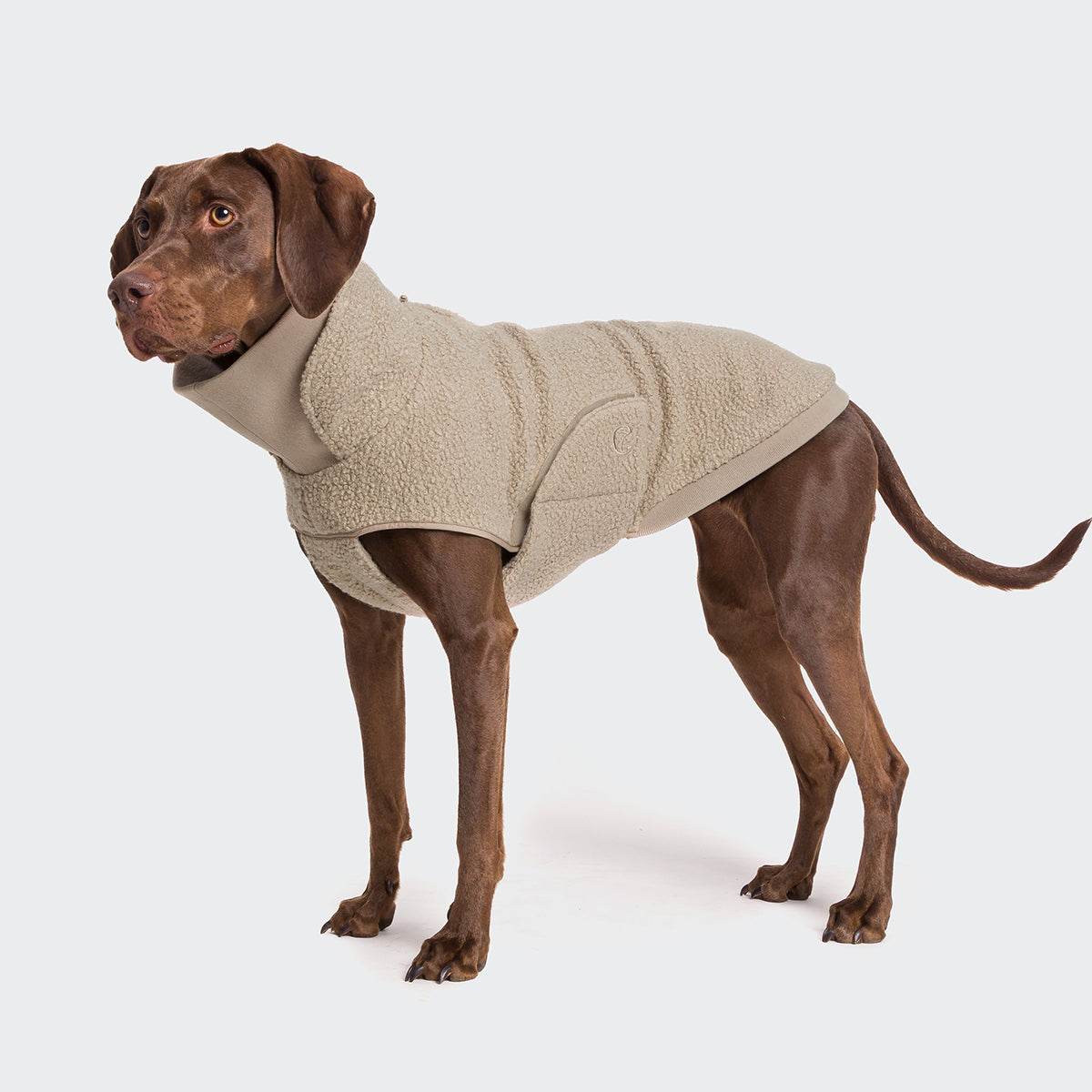 CLOUD7_ Ein brauner Hund, der eine beige, mit Fleece gefütterte Hundejacke trägt, steht vor einem schlichten weißen Hintergrund und blickt leicht nach links.