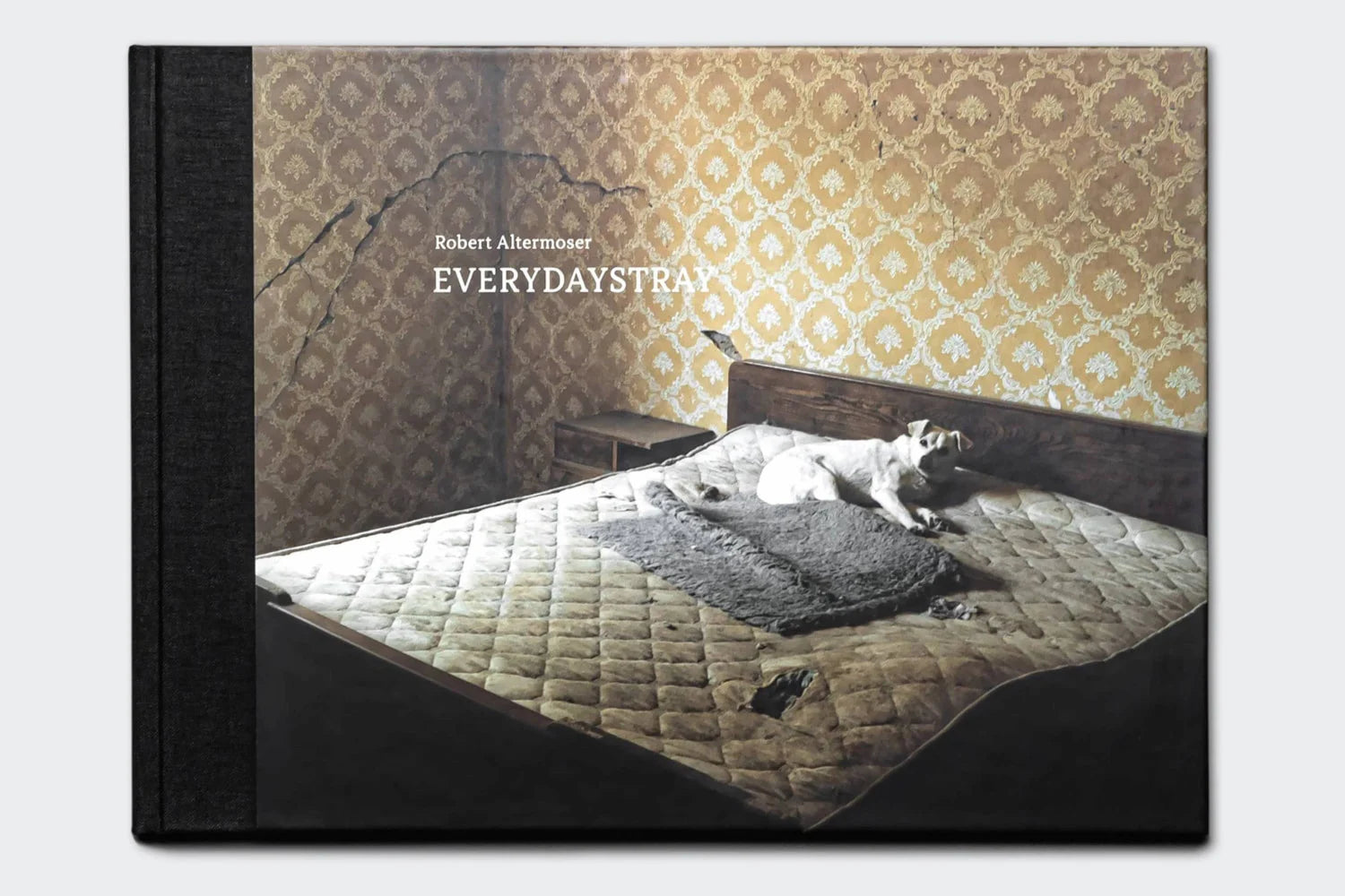 CLOUD7_ Auf dem Buchcover ist ein Hund zu sehen, der auf einem alten Bett in einem schummrigen Raum mit gelber Vintage-Tapete und einer rissigen Wand liegt. Links sind der Titel „EVERYDAYSTRAY“ und der Name des Autors „Robert Altenmose“ aufgedruckt.