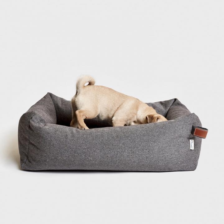 CLOUD7_ Ein kleiner, hellbrauner Hund, der seinen Kopf in ein graues, rechteckiges Hundebett gesteckt hat, mit dem Rücken zur Kamera, vor einem schlichten weißen Hintergrund.