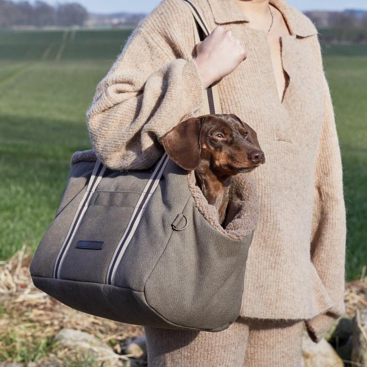 CLOUD7_ Eine Person in einem beigen Strickoutfit trägt einen kleinen braunen Dackel in einer grauen Tragetasche und steht draußen auf einer Wiese.