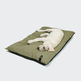RESC7UE Dog Pillow Sage