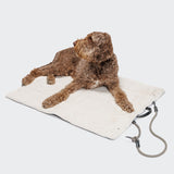 CLOUD7_ Ein brauner, gelockter Hund liegt auf einem weichen, hellen Hundereisebett Canvas Black, an dessen einer Ecke eine Leine befestigt ist, vor einem schlichten Hintergrund.