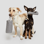 CLOUD7_ Zwei Hunde, ein heller und ein schwarzer mit lohfarbenen Abzeichen, sitzen Seite an Seite vor einem einfarbigen Hintergrund. Jeder Hund hält ein Futter Dummy Heather Grey mit einem Seilgriff im Maul.