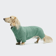 CLOUD7_ Ein langhaariger Dackel steht vor einem hellen Hintergrund und trägt den Hundepullover Dackel Fleece Cornwall Dusty Green, der seinen Körper und seine Beine bedeckt. Der Hund blickt nach oben und nach links und zeigt dabei stilvolle Hundebekleidung.