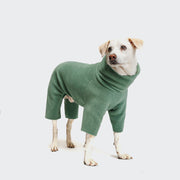CLOUD7_ Ein weiß-brauner Hund trägt den Hundepullover Fleece Cornwall Dusty Green, ein Ganzkörperfleece mit langen Ärmeln und einem hohen Kragen, vor einem schlichten hellen Hintergrund.