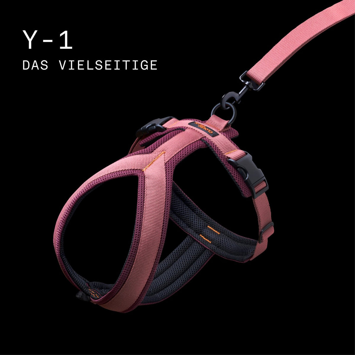 CLOUD7_ Ein rosa-schwarzes Hundegeschirr mit angebrachter Leine, dargestellt vor schwarzem Hintergrund. Der Text lautet in weißer Schrift: „Y-1 DAS VIELSEITIGE“.