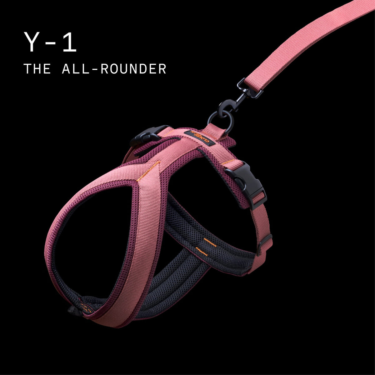 CLOUD7_ Vor einem schwarzen Hintergrund ist ein rosa-schwarzes Hundegeschirr mit einer daran befestigten Leine zu sehen. Der weiße Schriftzug lautet: Y-1 – DER ALLROUNDER.