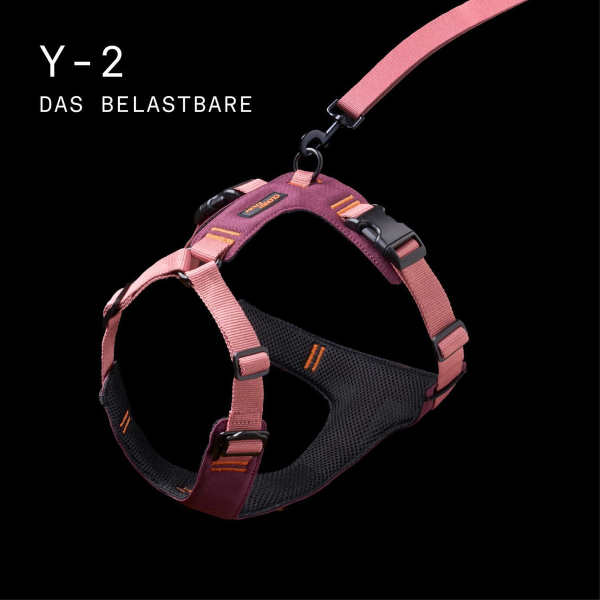 CLOUD7_ Ein kastanienbraunes und rosa Hundegeschirr mit einer daran befestigten schwarzen Leine, dargestellt vor schwarzem Hintergrund. Der Text auf der linken Seite lautet in weißen Buchstaben: „Y-2 DAS BELASTBARE“.