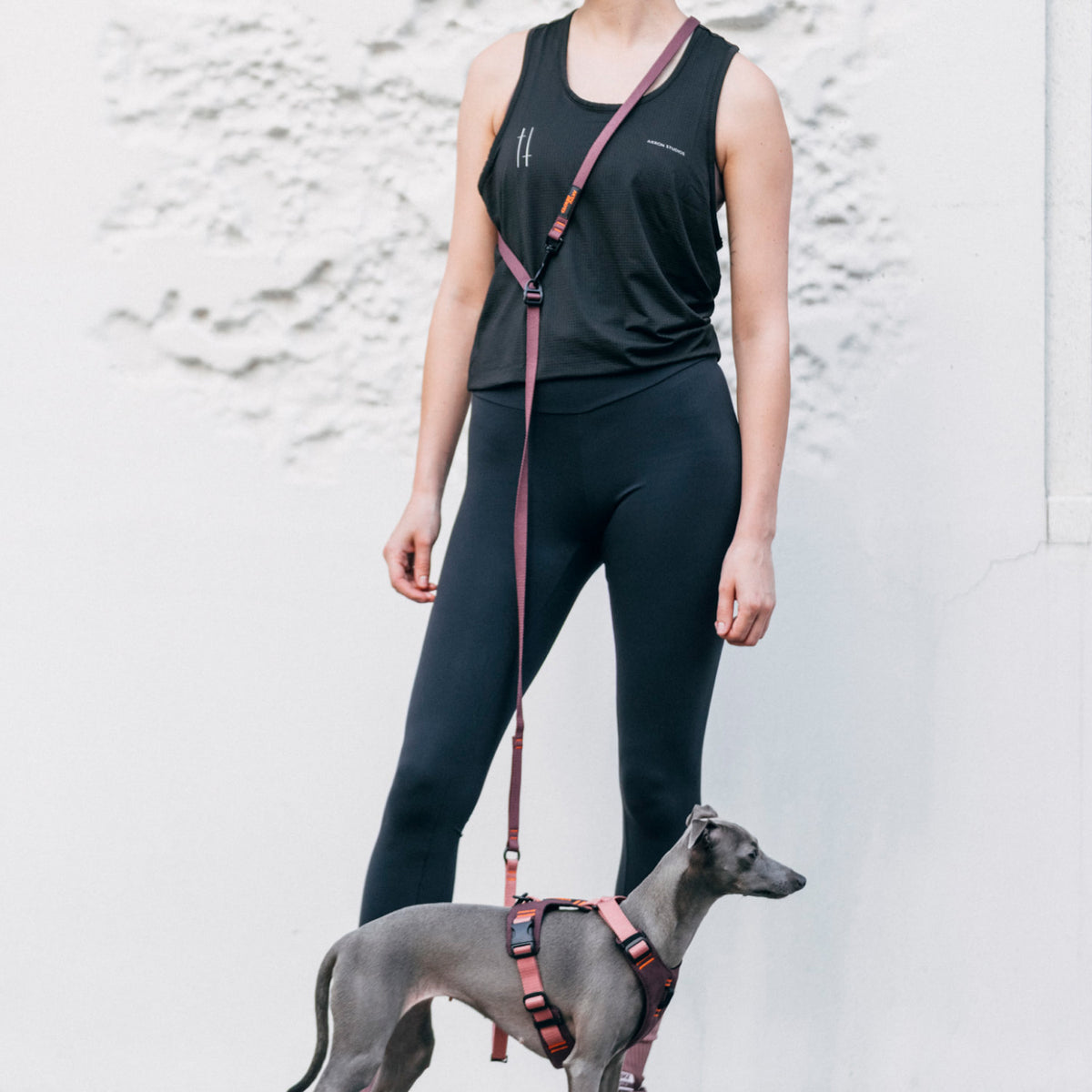 CLOUD7_ Eine Person in schwarzer Sportkleidung steht vor einer hell gestrukturierten Wand und hält eine Leine in der Hand, an der ein kleiner grauer Hund mit einem Geschirr befestigt ist. Der Kopf der Person ist nicht im Bild zu sehen.