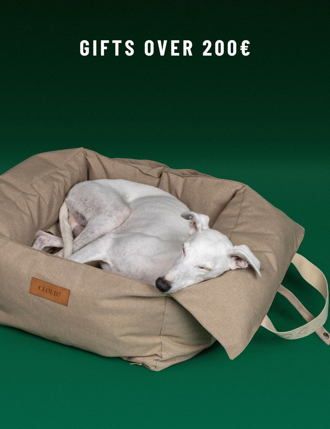 CLOUD7_ Ein weißer Hund schläft zusammengerollt in einem hellbraunen Hundebett, auf dem ein Etikett mit der Aufschrift „CLOUD7“ zu sehen ist. Der Hintergrund ist dunkelgrün. Darüber steht: „GESCHENKE ÜBER 200 €“.