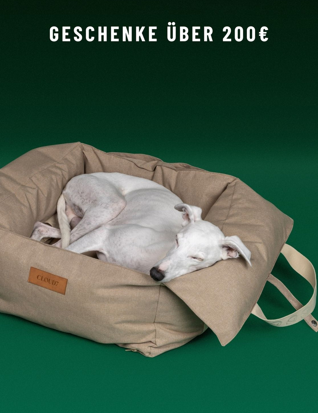 CLOUD7_ Ein weißer Hund schläft zusammengerollt auf einem großen beigen Hundebett vor einem grünen Hintergrund. Der Text darüber lautet: „GESCHENKE ÜBER 200 €“.