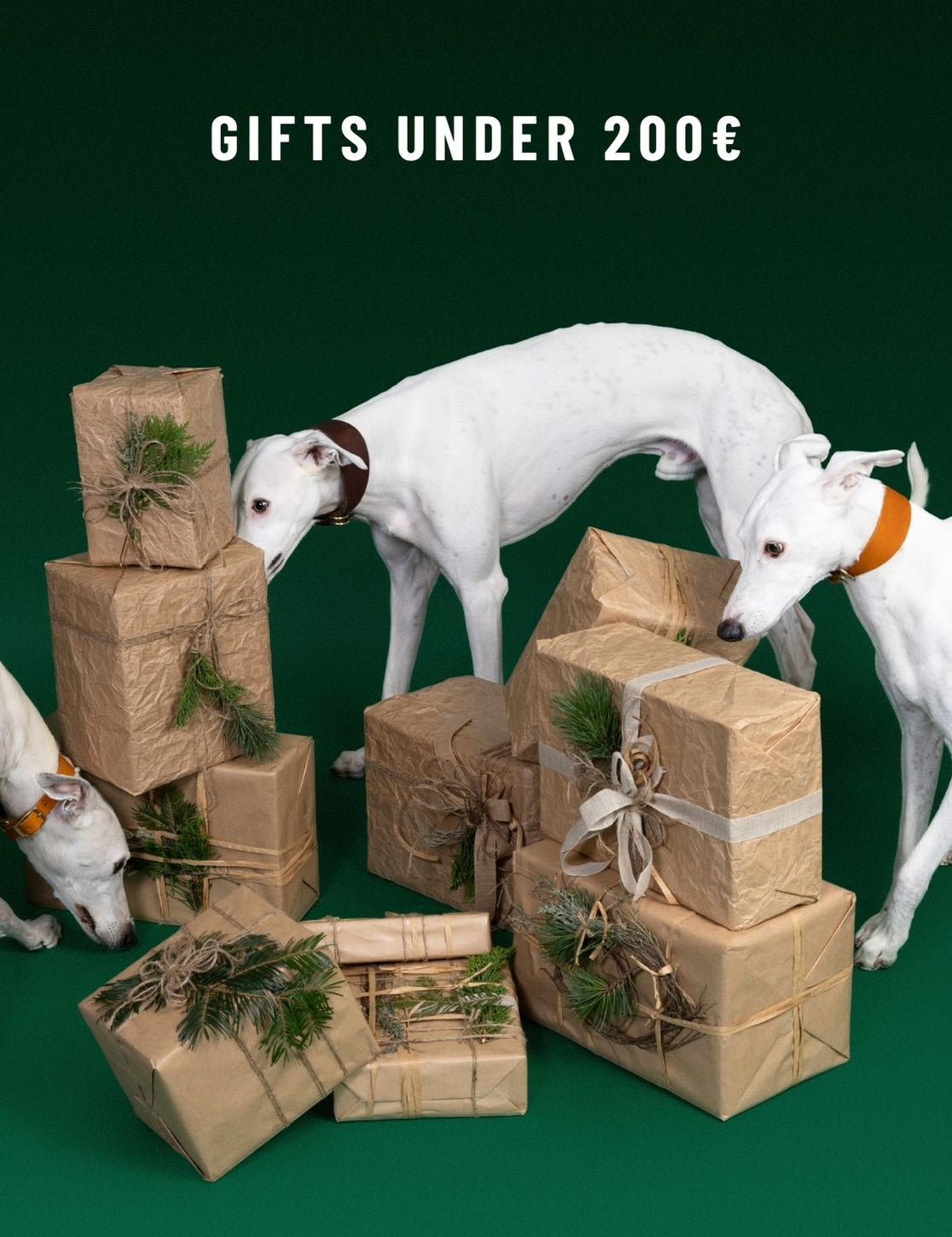CLOUD7_ Drei weiße Hunde schnüffeln an Geschenkpaketen, die in braunes Papier eingewickelt und mit Tannenzweigen verziert sind. Darüber steht auf dunkelgrünem Hintergrund die Aufschrift „GESCHENKE UNTER 200 €“.