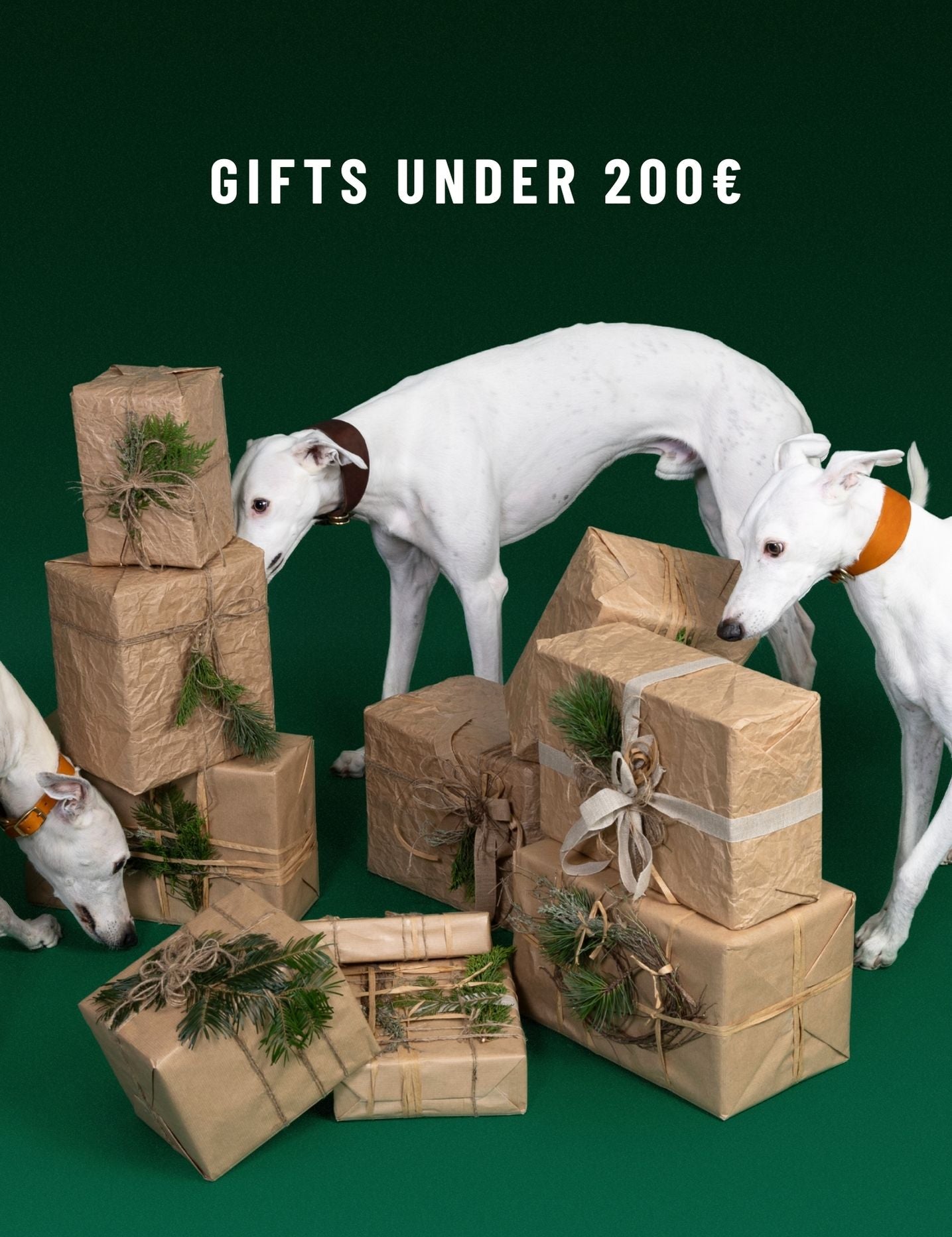 CLOUD7_ Drei weiße Hunde begutachten einen Stapel braun in Papier eingewickelter Geschenke, die mit Grünzweigen verziert sind. Der Hintergrund ist grün, und darüber steht der Text „GESCHENKE UNTER 200 €“.
