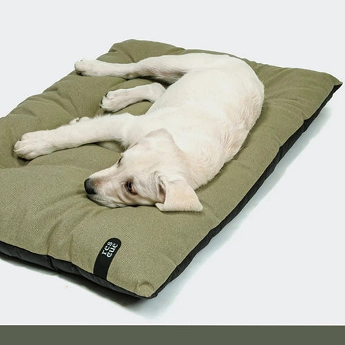 CLOUD7_ Ein hellfarbiger Hund liegt entspannt auf der Seite auf einem grünen, rechteckigen Hundebett. An einer Ecke des Bettes befindet sich ein kleines schwarzes Etikett. Der Hintergrund ist einfarbig und hell.