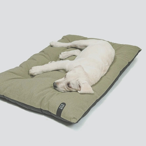 CLOUD7_ Ein weißer Welpe liegt auf der Seite auf einem rechteckigen grünen Hundebett mit einem schwarzen Anhänger vor einem schlichten hellen Hintergrund.