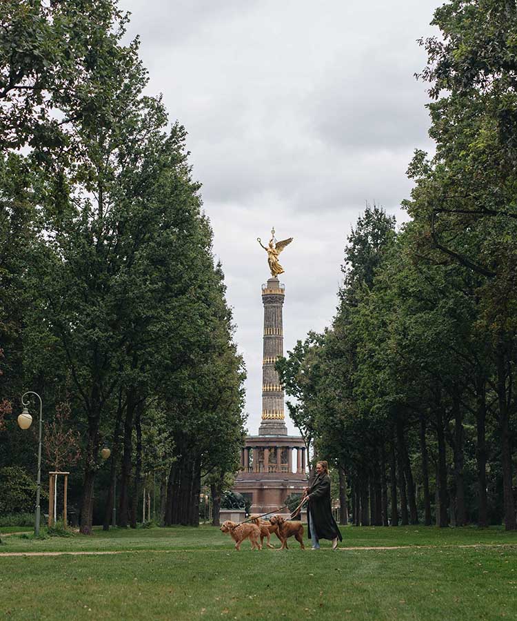 CLOUD7_ Eine Person führt vier Hunde auf einem von Bäumen gesäumten Weg spazieren; im Hintergrund ist unter einem bewölkten Himmel die Berliner Siegessäule mit ihrer goldenen Statue zu sehen.