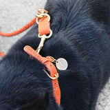 Hundehalsband Ravello Rust