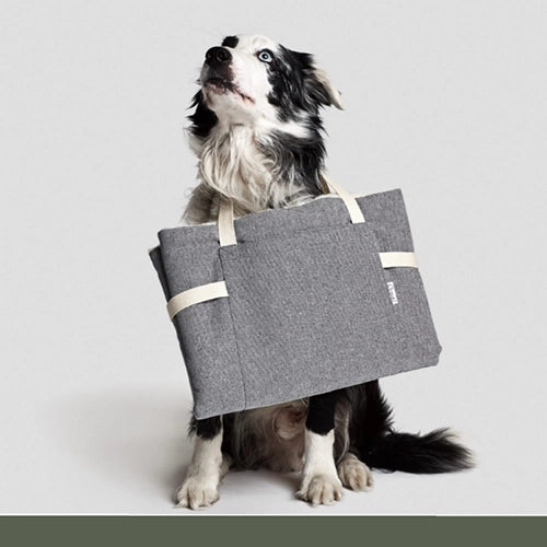 CLOUD7_ Ein schwarz-weißer Hund sitzt mit einer grauen Tragetasche um den Hals und blickt vor einem schlichten, hellen Hintergrund nach oben.