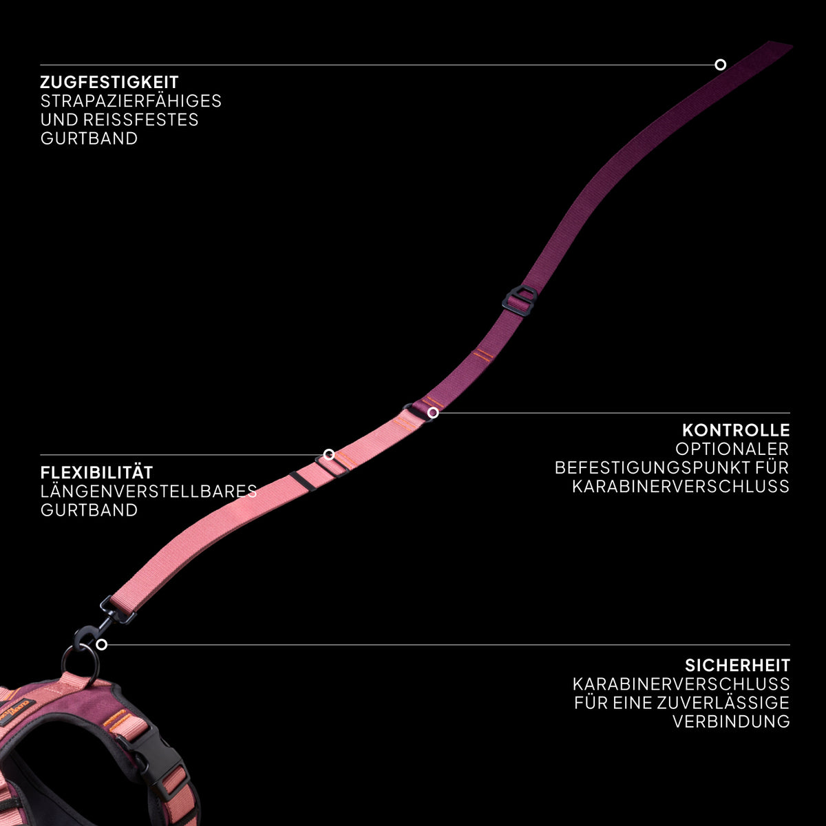 CLOUD7_ Eine rosa, verstellbare Leine mit deutschen Etiketten, auf denen folgende Merkmale hervorgehoben werden: strapazierfähiges, zugfestes Band, Flexibilität, optionaler Befestigungspunkt für einen Karabiner sowie ein sicherer Karabinerhaken zur sicheren Befestigung.