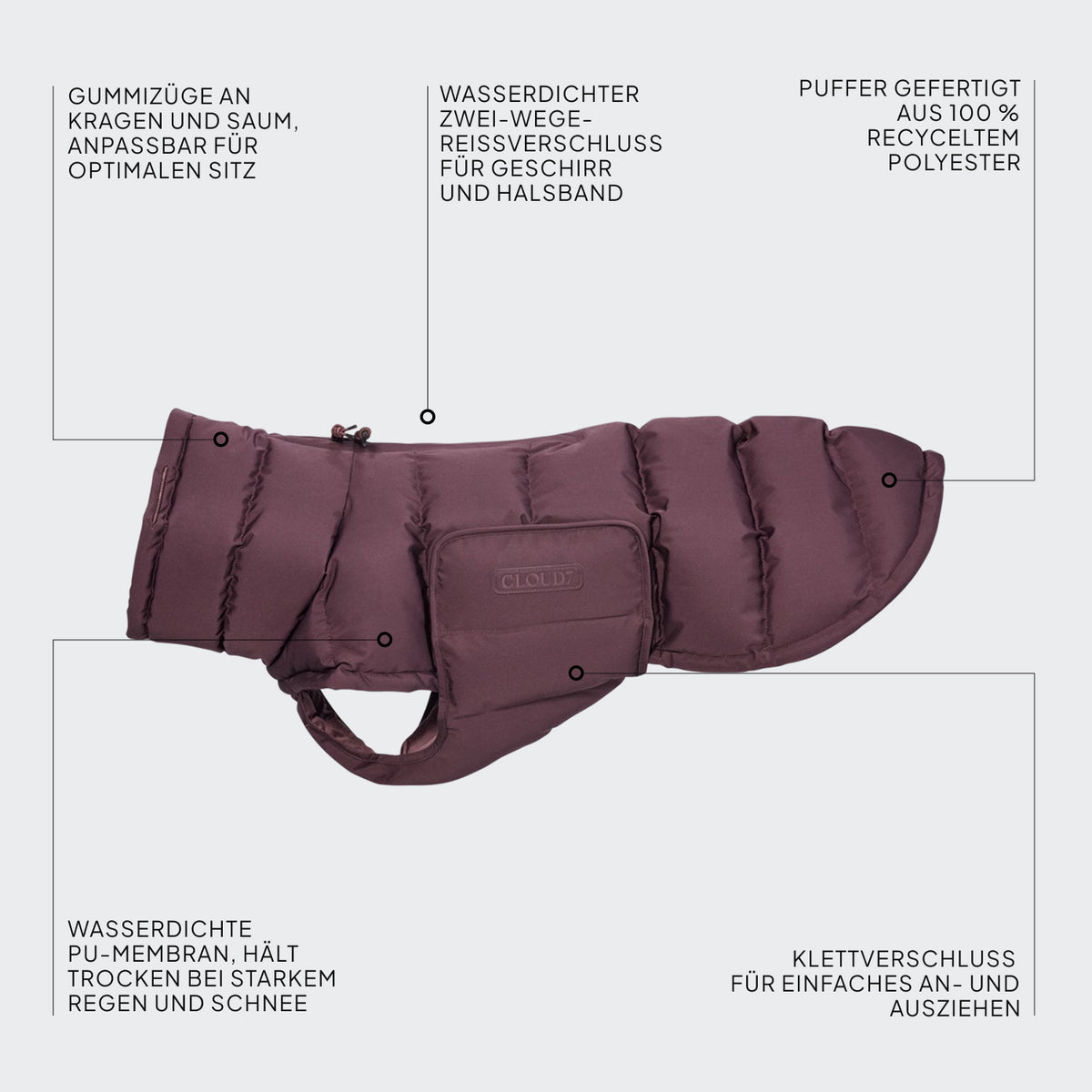 Hundemantel Dackel Alaska Dark Aubergine