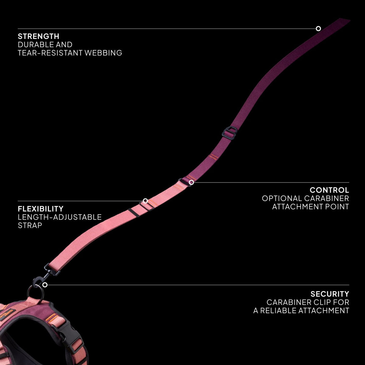CLOUD7_ Ein rosa, längenverstellbarer Gurt mit folgenden Merkmalen: Festigkeit (strapazierfähiges, reißfestes Gurtband), Flexibilität (längenverstellbar), Kontrolle (Befestigungspunkt für Karabiner) und Sicherheit (Karabinerhaken für die Leine).