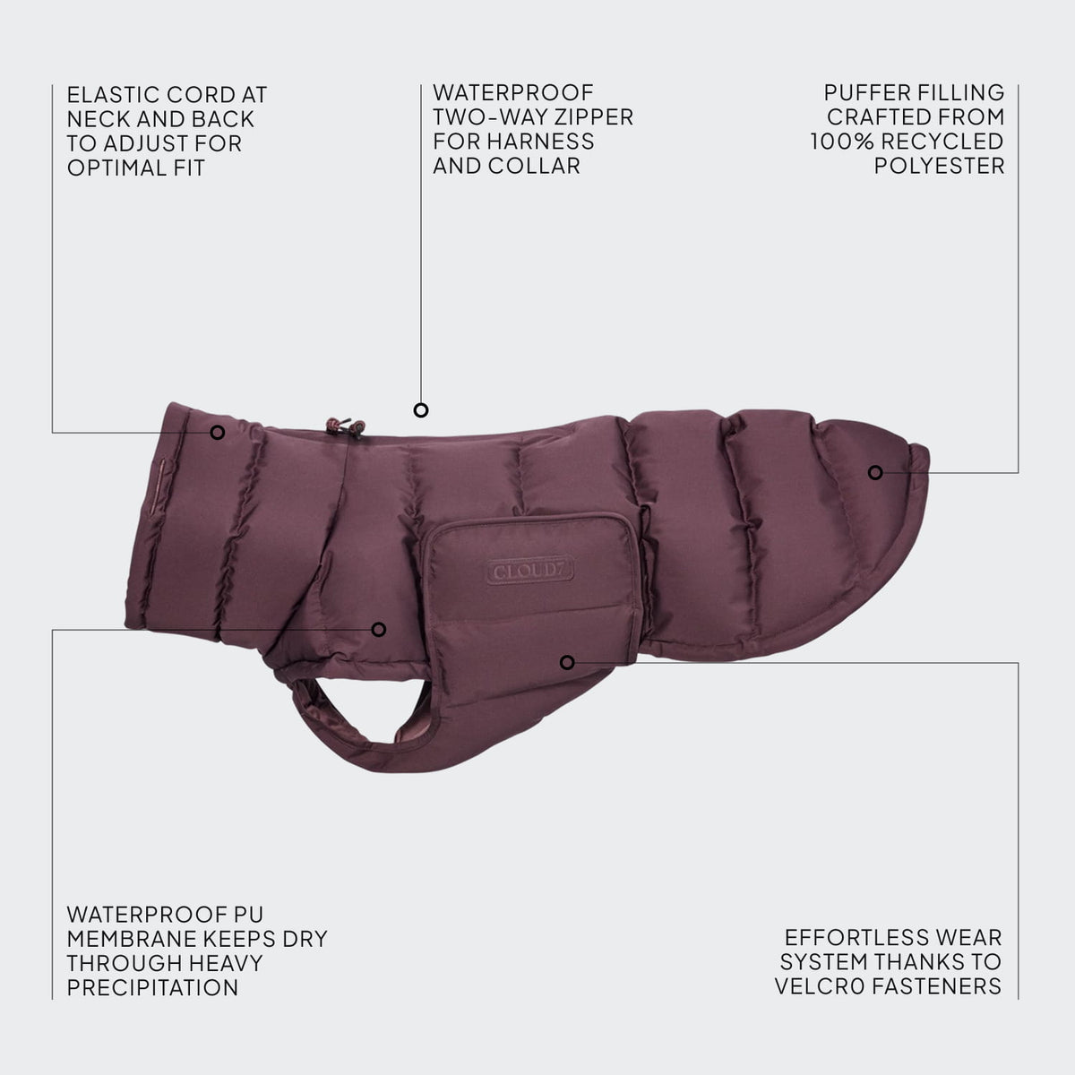Dachshund Coat Alaska Dark Aubergine