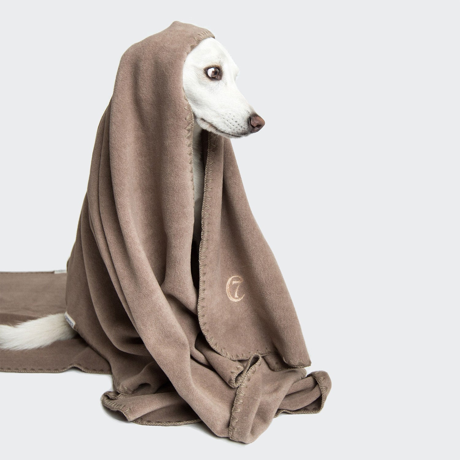 CLOUD7_ A white dog sits against a light grey background with the Hundedecke Soft Fleece Sand draped over its body and head like a cloak, its face and tail visible as it looks to the right.