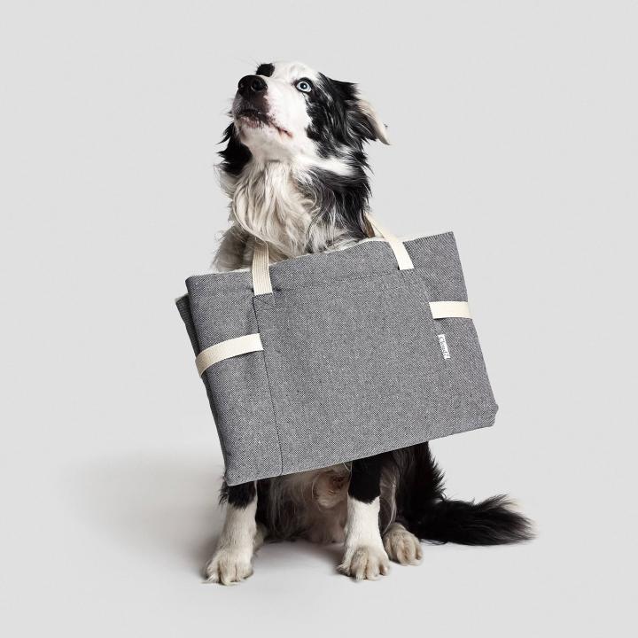 CLOUD7_ Ein schwarz-weißer Hund sitzt vor einem schlichten weißen Hintergrund und hält eine graue Stofftasche an den beiden beigen Henkeln im Maul, wobei er nach oben blickt.