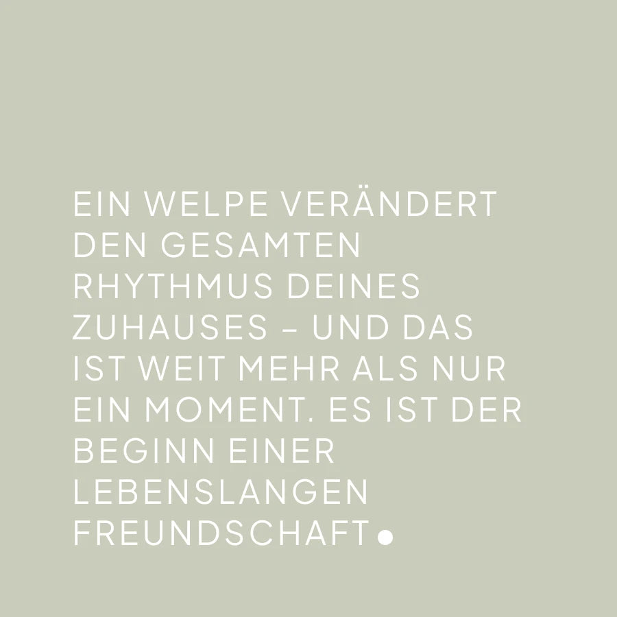CLOUD7_ Auf hellgrauem Hintergrund steht in weißer Schrift: „Ein Welpe verändert den gesamten Rhythmus deines Zuhauses… Es ist der Beginn einer lebenslangen Freundschaft.“.